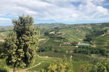View of the stunning Langhe vineyards from Castiglion Falletto village