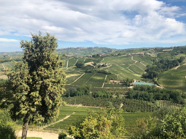 View of the stunning Langhe vineyards from Castiglion Falletto village
