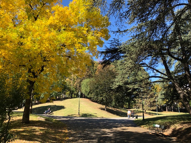 People strolling in the Parco del Valentino in Turin with its beautiful trees