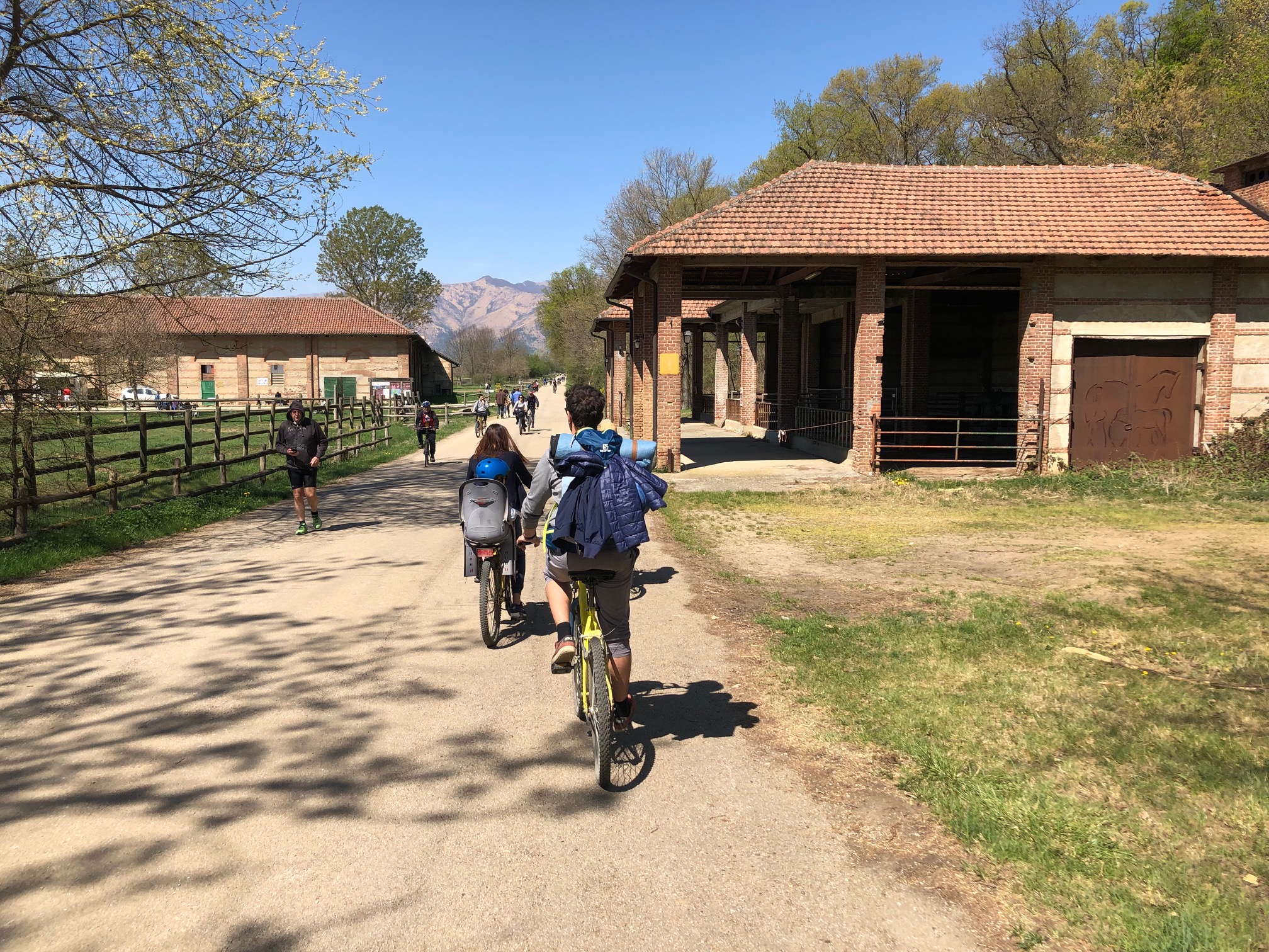 the cycling path inside the la mandria park in turin