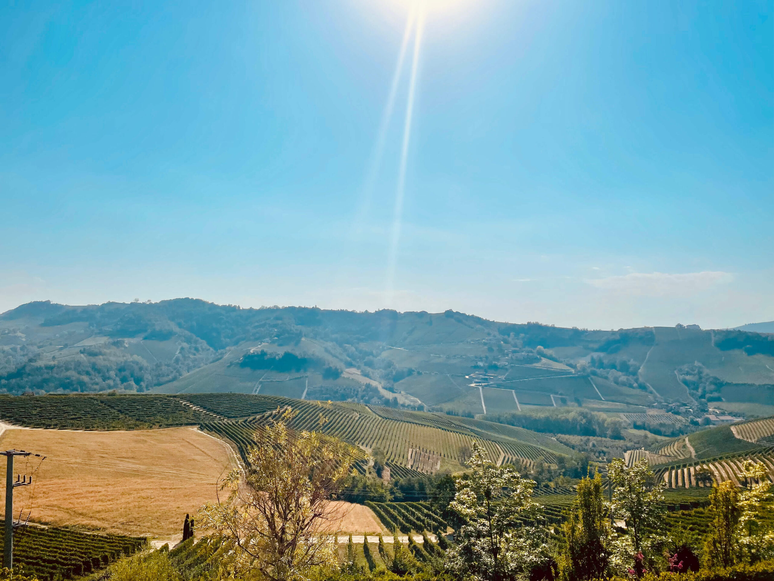 Private Langhe wine tour, vineyard landscape and winery view, Barolo Piedmont