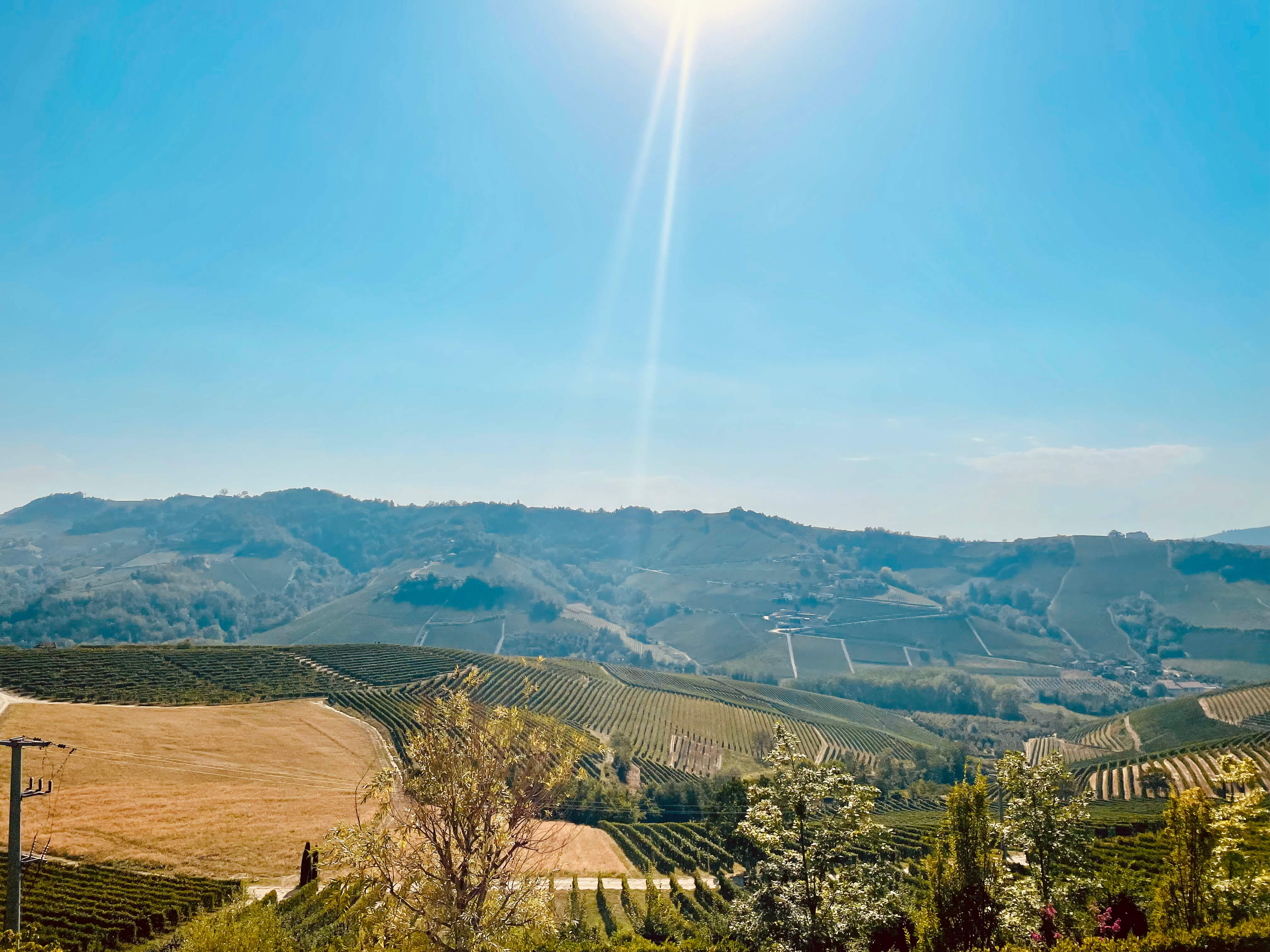 Private Langhe wine tour through the UNESCO vineyard hills of Barolo country