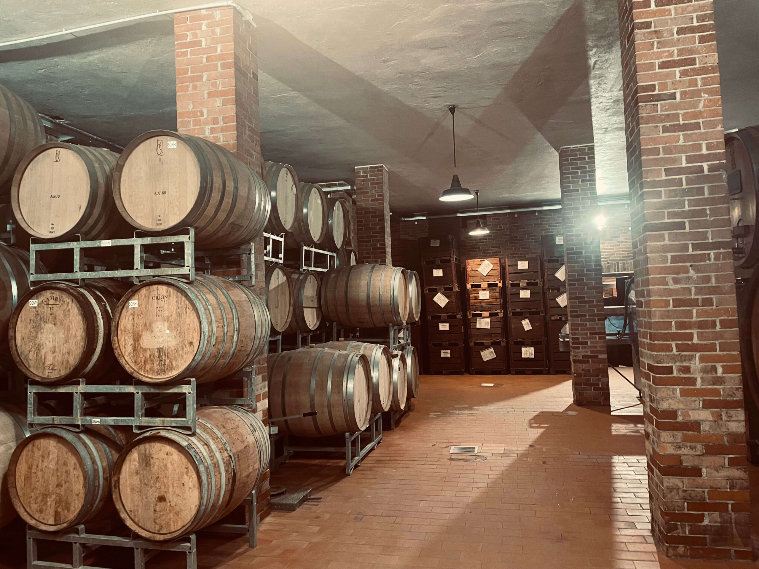 Oak barrels in a private Barolo wine cellar, Langhe, Piedmont