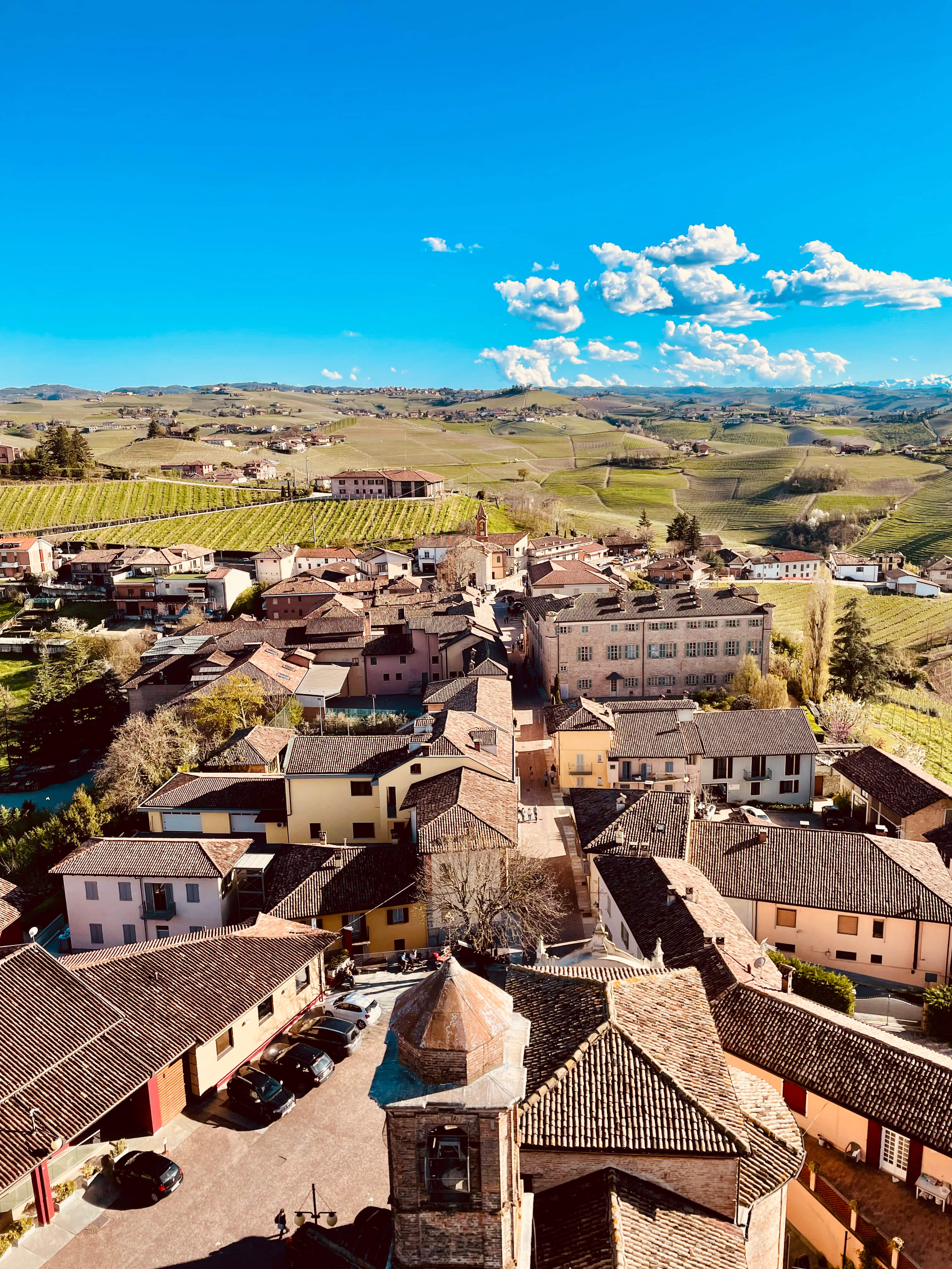 View over Barbaresco vineyards from the medieval tower, Langhe
